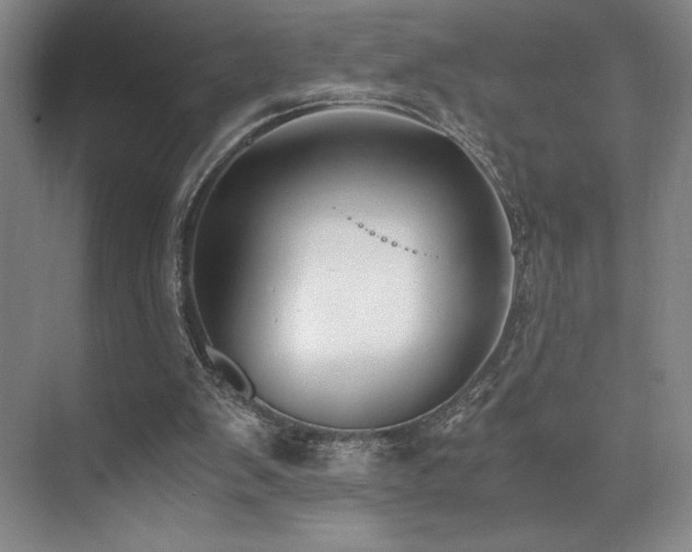 X0000073840103200608101240