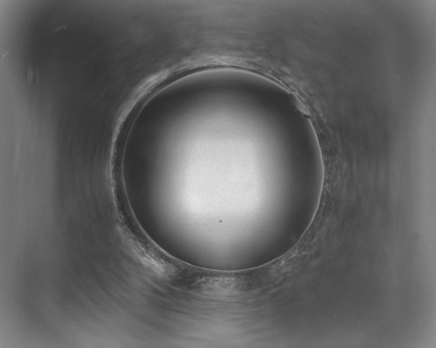 X0000073840104200608101240