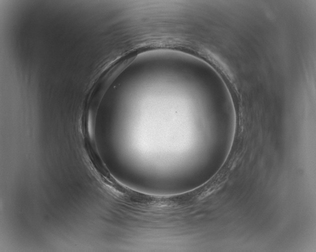 X0000073840105200608101240