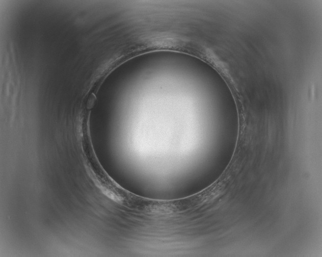 X0000073840106200608101240