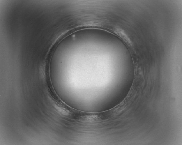 X0000073840108200608101240