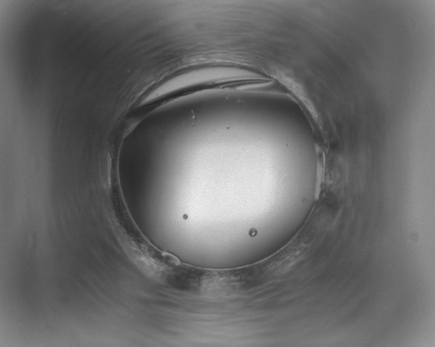 X0000073840109200608101240