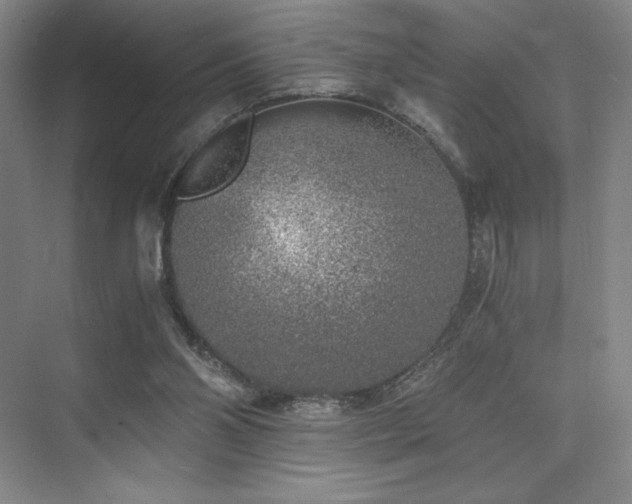 X0000073840110200608101240