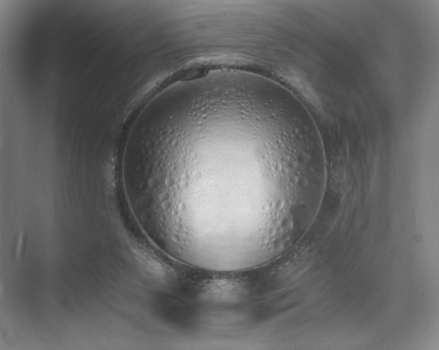 X0000073840111200608101240