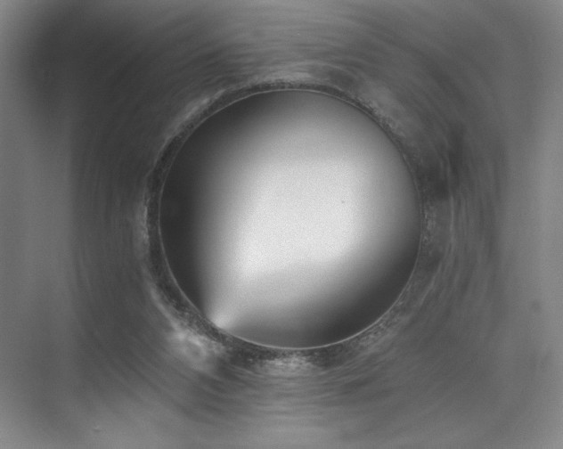 X0000073840112200608101240