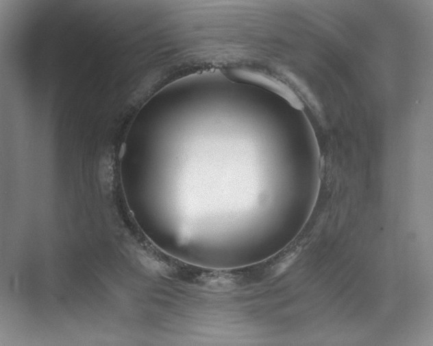 X0000073840113200608101240