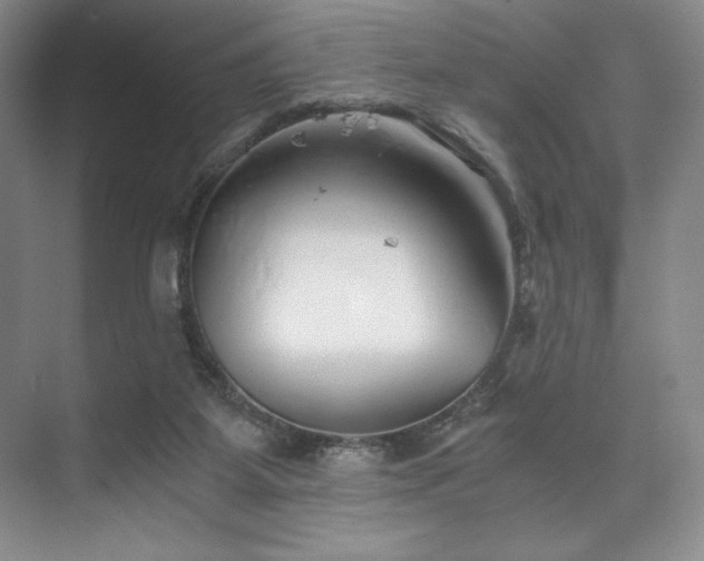 X0000073840115200608101240