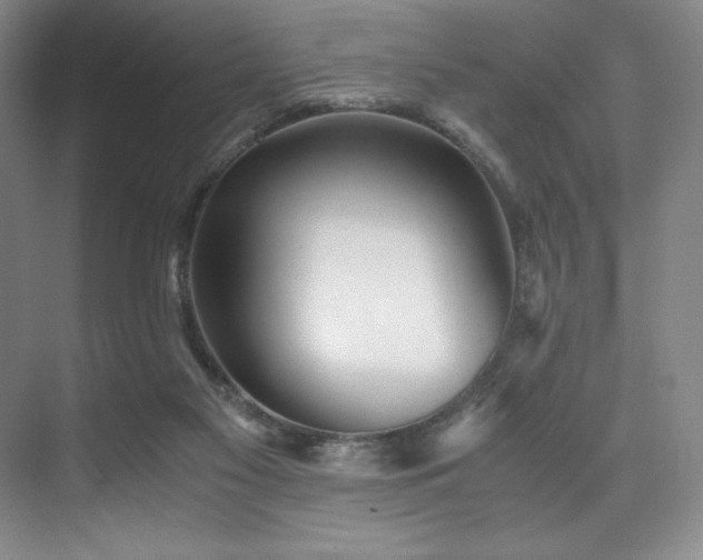 X0000073840117200608101240