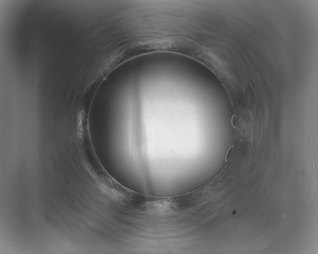 X0000073840118200608101240