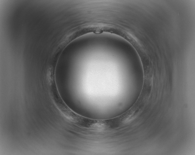 X0000073840119200608101239