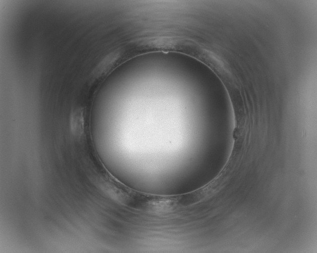 X0000073840120200608101239