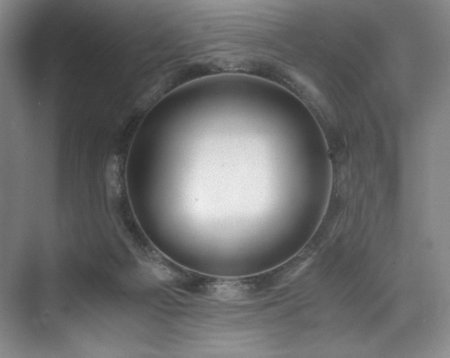 X0000073840121200608101239