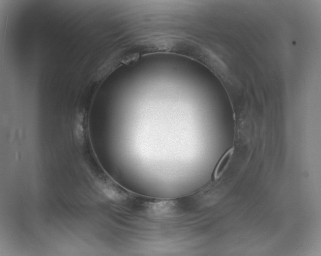 X0000073840122200608101239