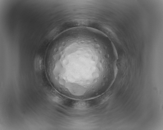 X0000073840123200608101239