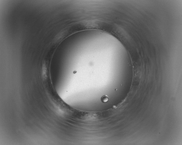 X0000073840124200608101239