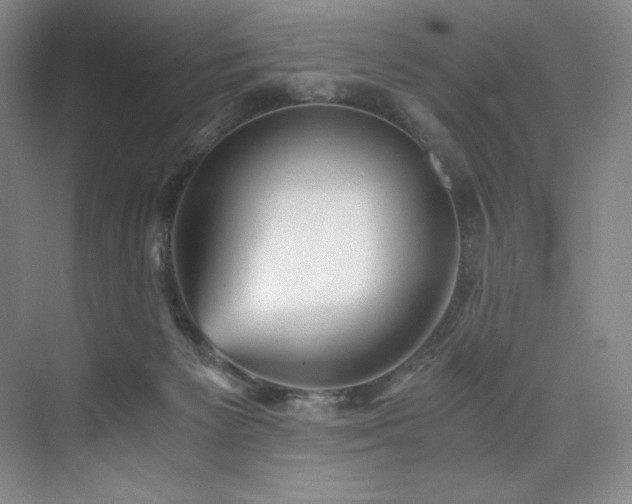 X0000073840125200608101239