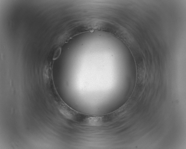 X0000073840126200608101239