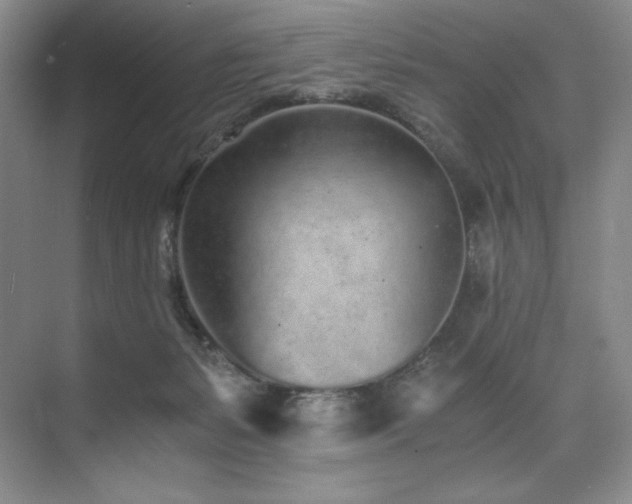 X0000073840127200608101239