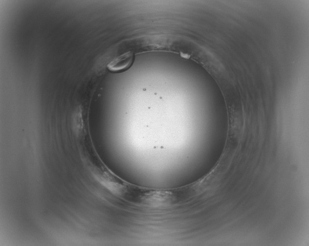 X0000073840128200608101239