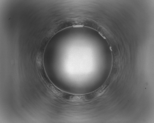 X0000073840129200608101239