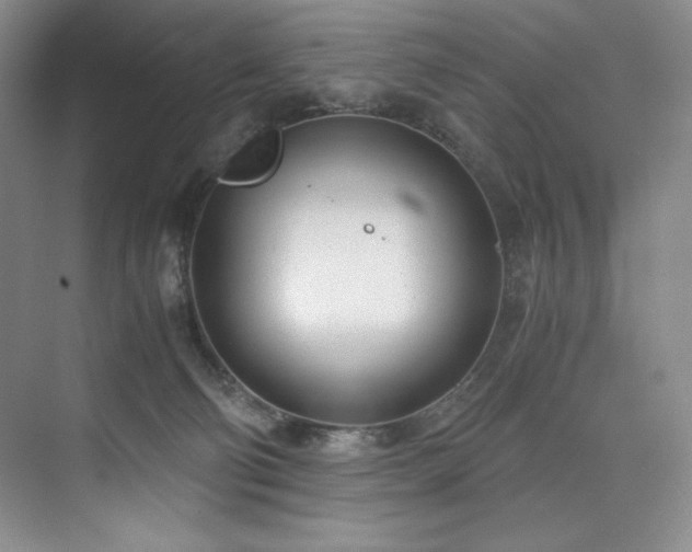 X0000073840130200608101239