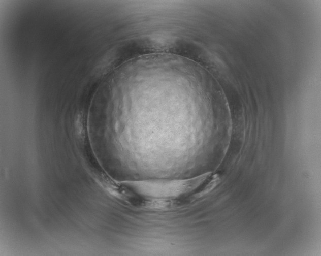 X0000073840131200608101239