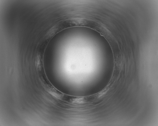 X0000073840132200608101239