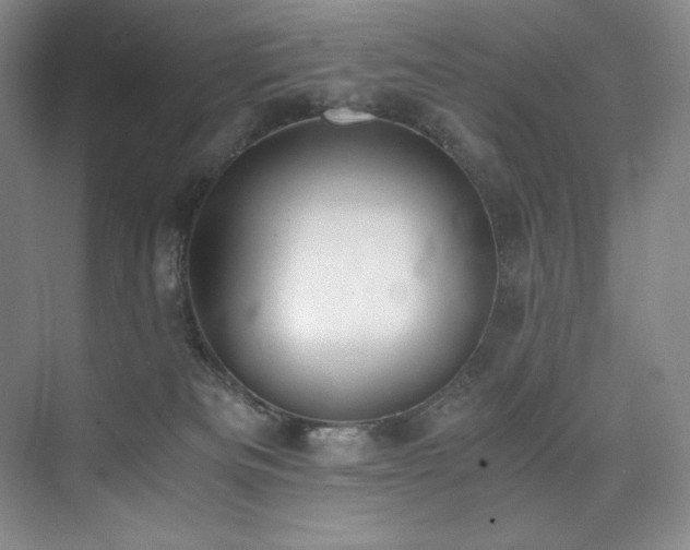 X0000073840133200608101239