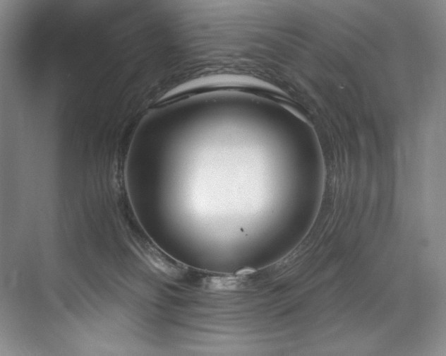 X0000073840134200608101239