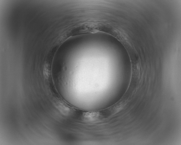 X0000073840135200608101239