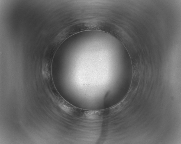 X0000073840136200608101239