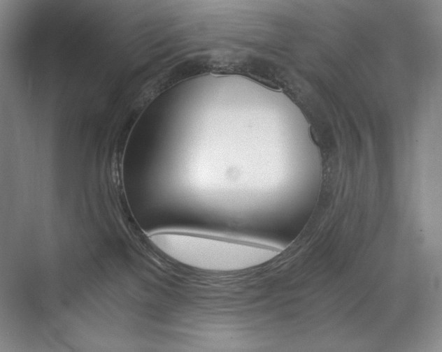 X0000073840137200608101239