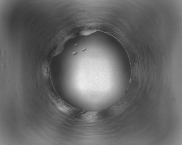 X0000073840138200608101239