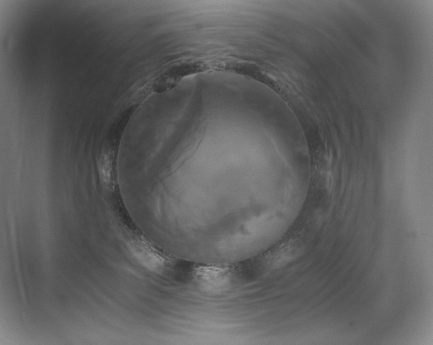 X0000073840139200608101239