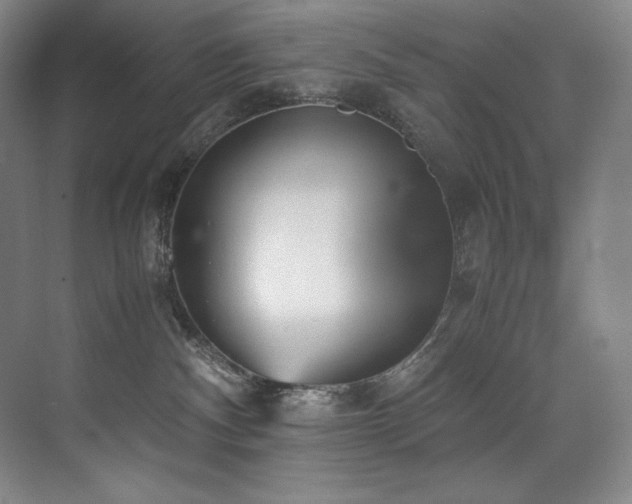 X0000073840140200608101239