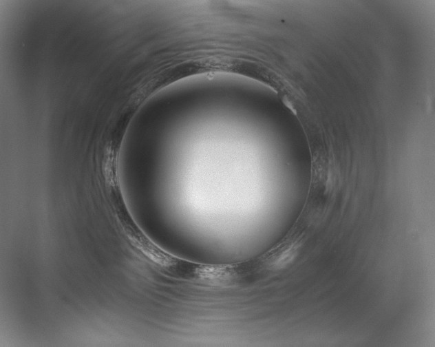 X0000073840141200608101239