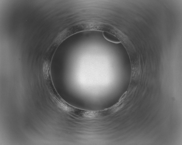 X0000073840142200608101239