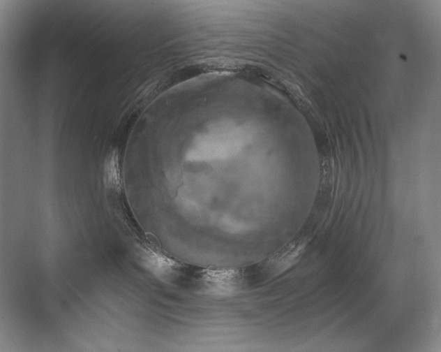 X0000073840143200608101239