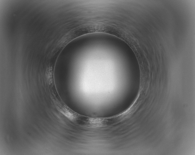 X0000073840144200608101239