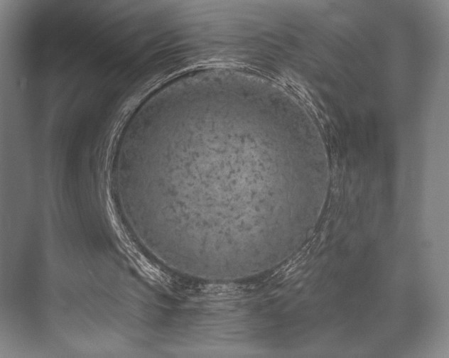 X0000073840145200608101238