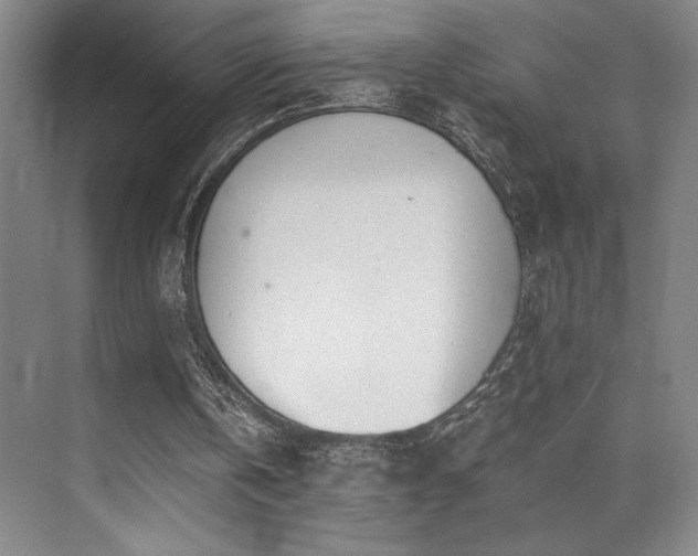 X0000073840146200608101238