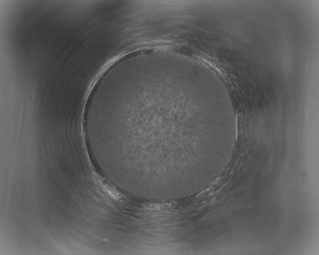 X0000073840147200608101238