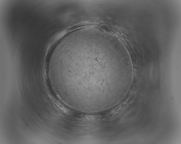 X0000073840149200608101238