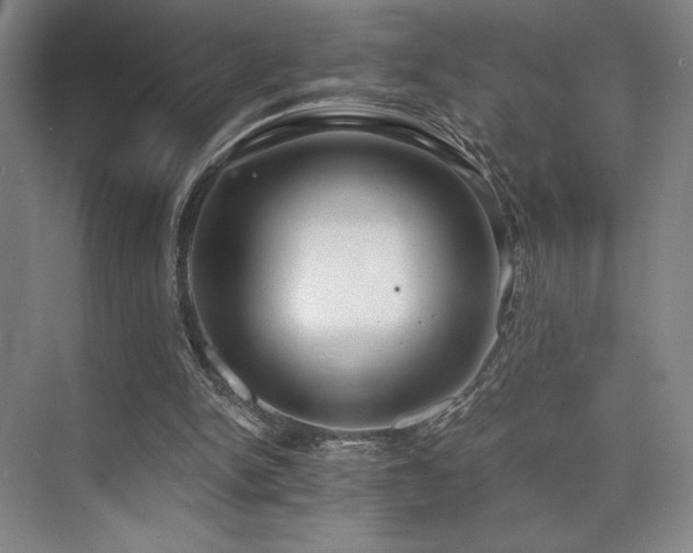 X0000073840150200608101238