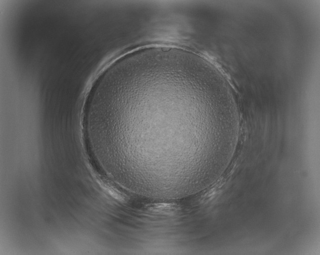 X0000073840151200608101238