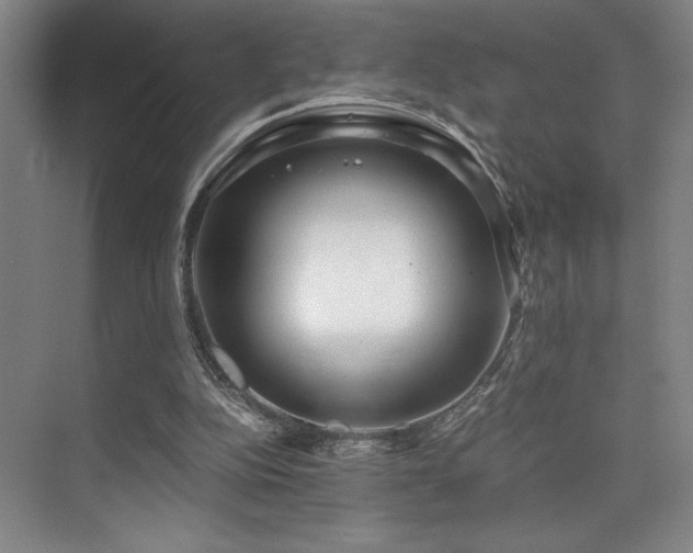 X0000073840152200608101238