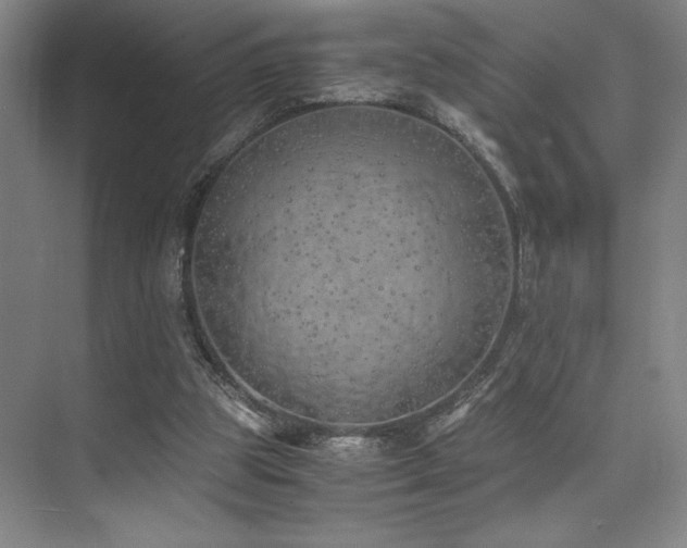 X0000073840153200608101238