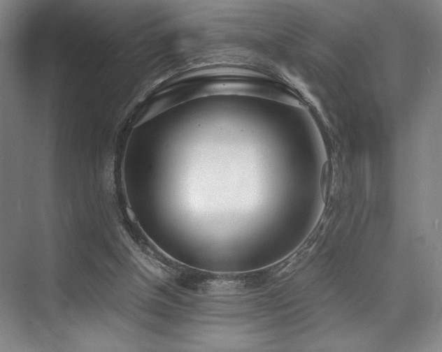 X0000073840154200608101238