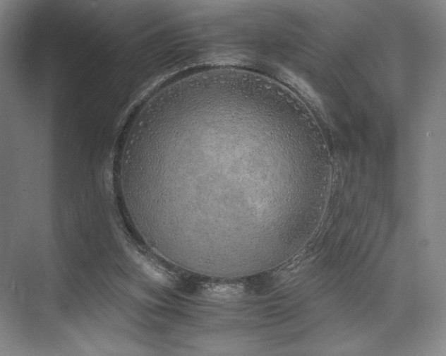 X0000073840155200608101238