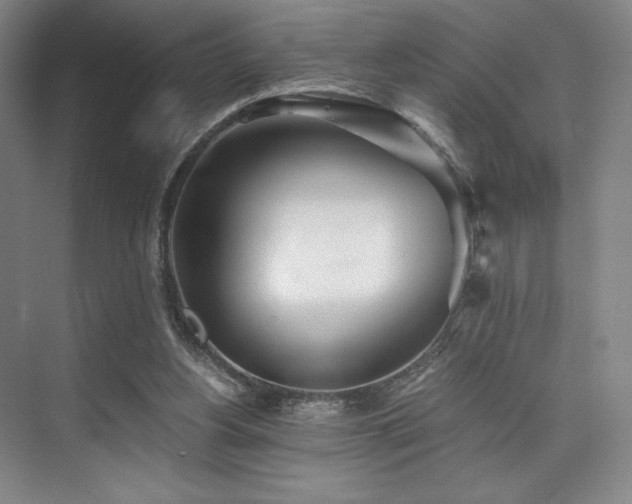 X0000073840156200608101238